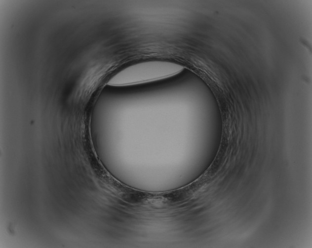 X0000094910595200711291002