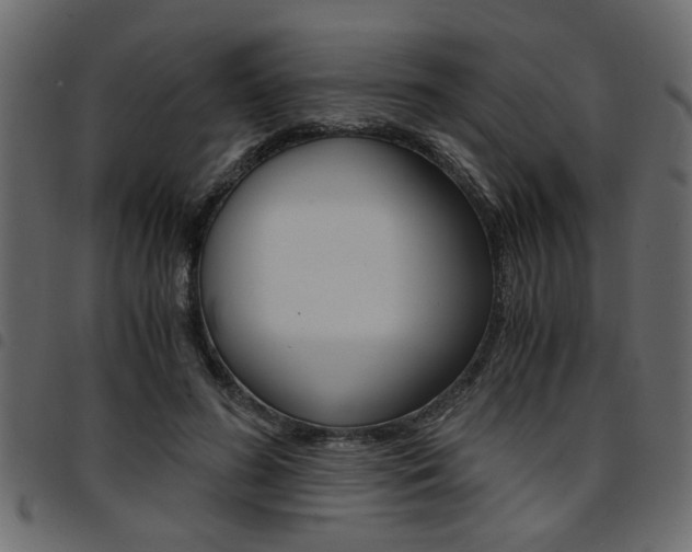 X0000094910596200711291002