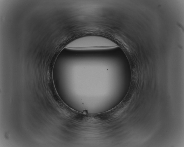 X0000094910597200711291002