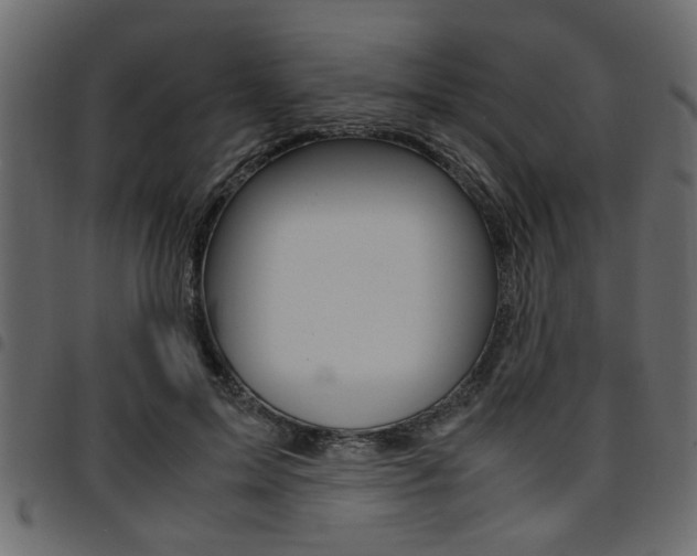 X0000094910599200711291002