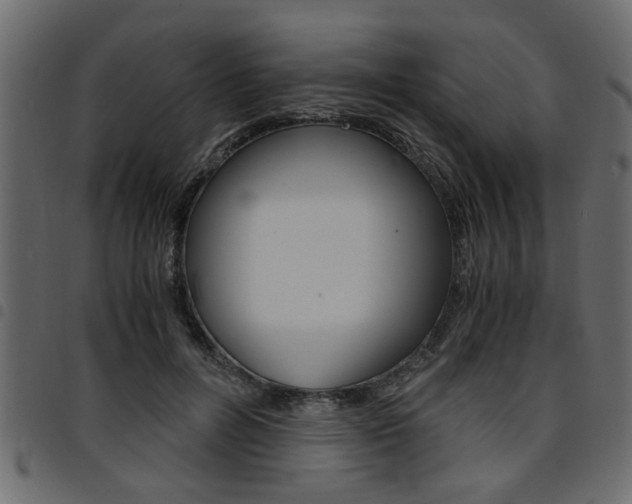 X0000094910600200711291002