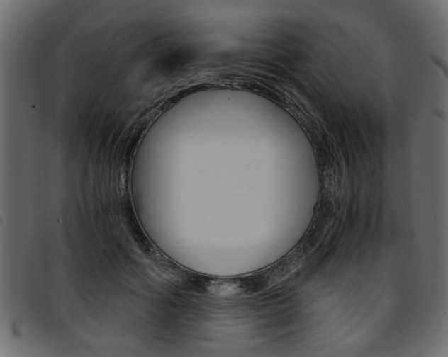 X0000094910602200711291002