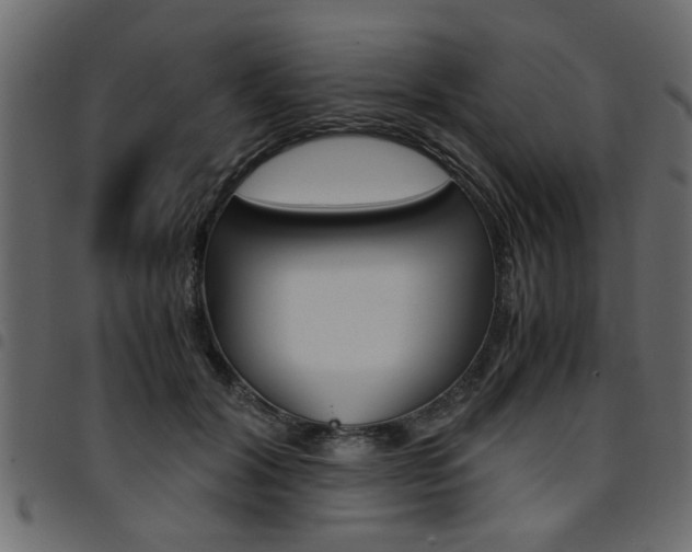 X0000094910604200711291001