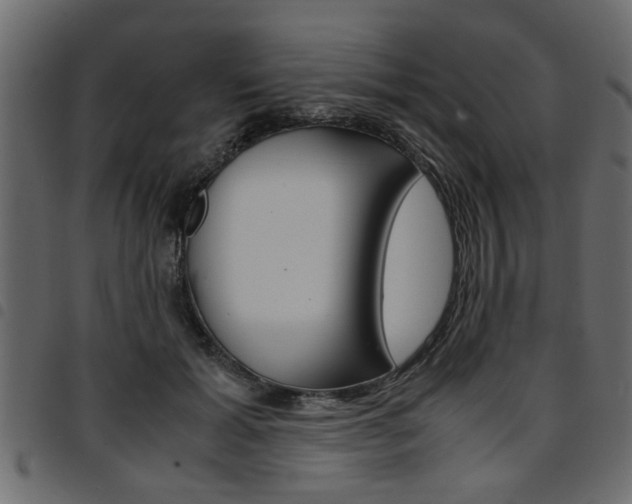 X0000094910605200711291001