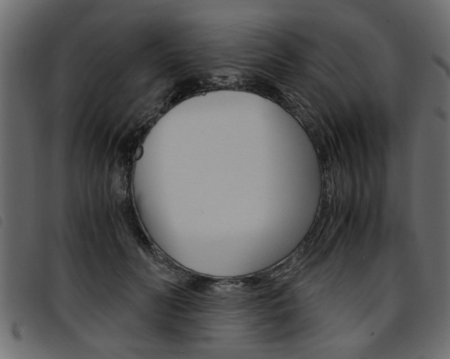 X0000094910606200711291001
