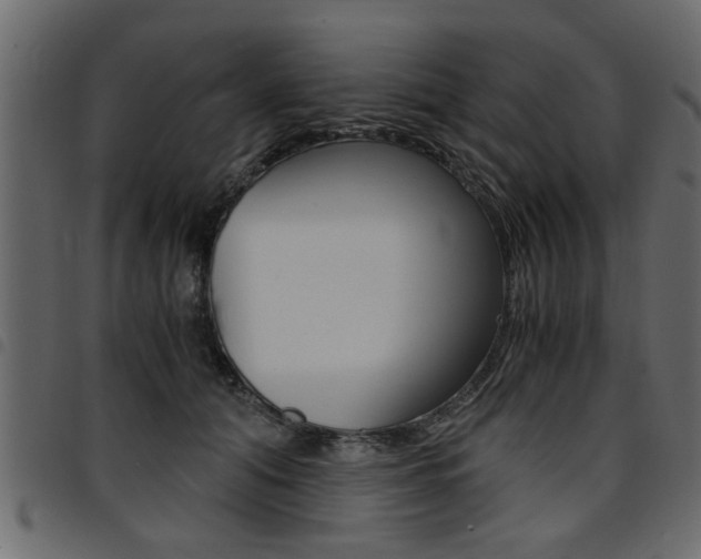 X0000094910608200711291001
