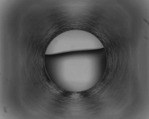 X0000094910609200711291001