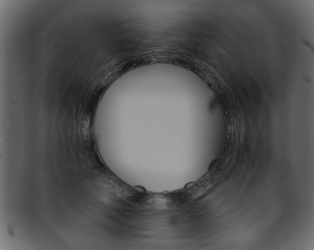 X0000094910610200711291001