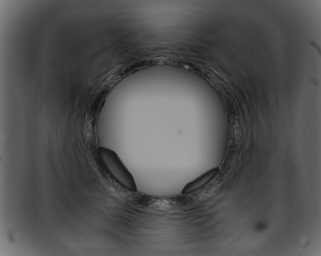 X0000094910611200711291001