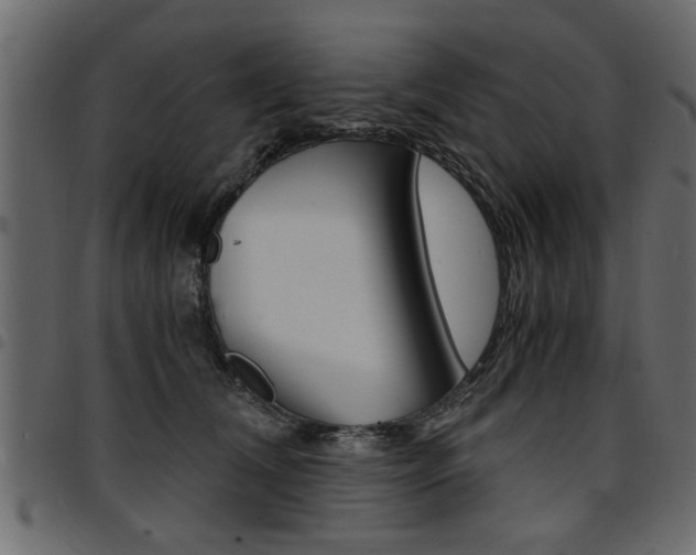 X0000094910612200711291001
