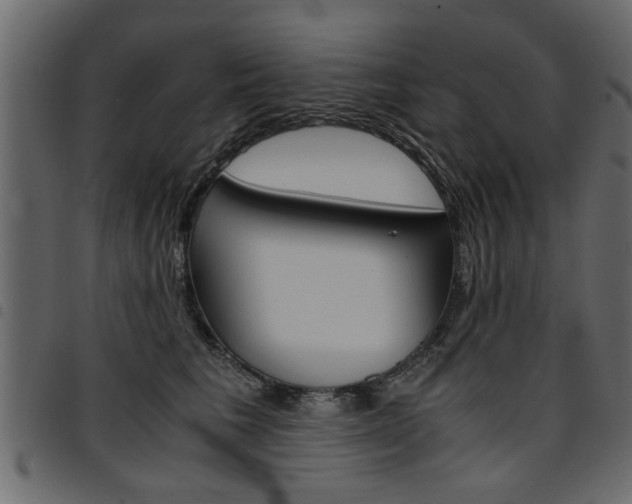 X0000094910613200711291001