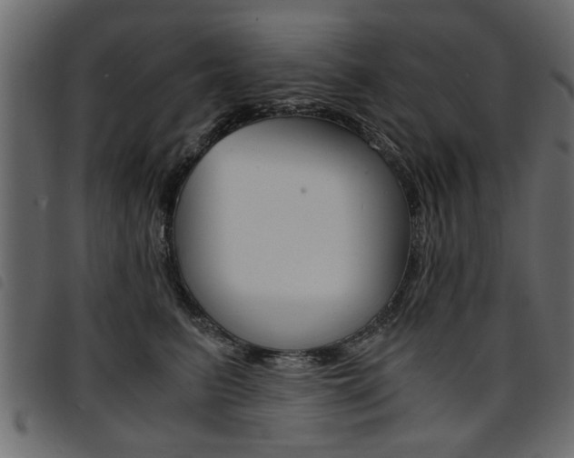 X0000094910615200711291001