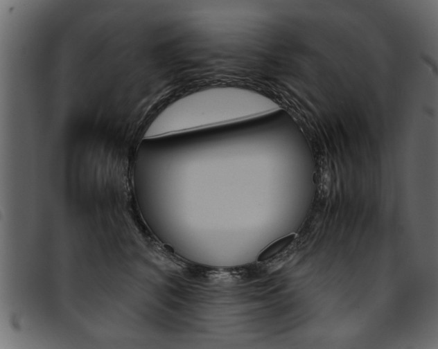 X0000094910616200711291001