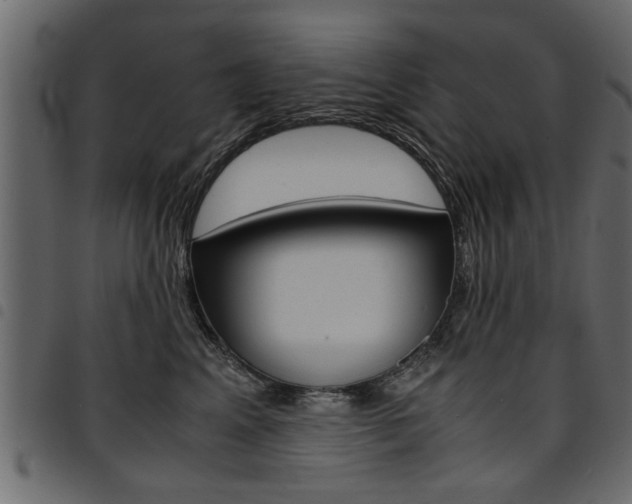 X0000094910617200711291001