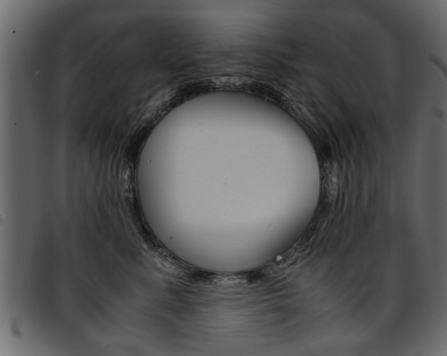 X0000094910619200711291001