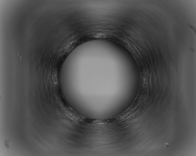X0000094910620200711291001