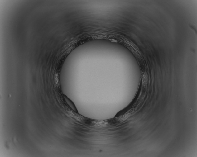 X0000094910621200711291001