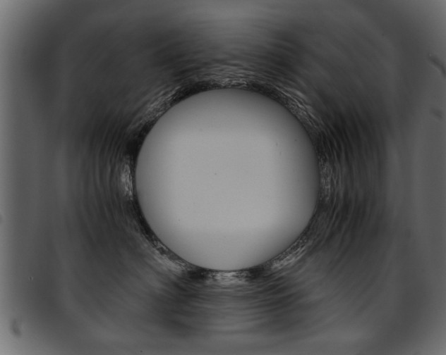 X0000094910622200711291001