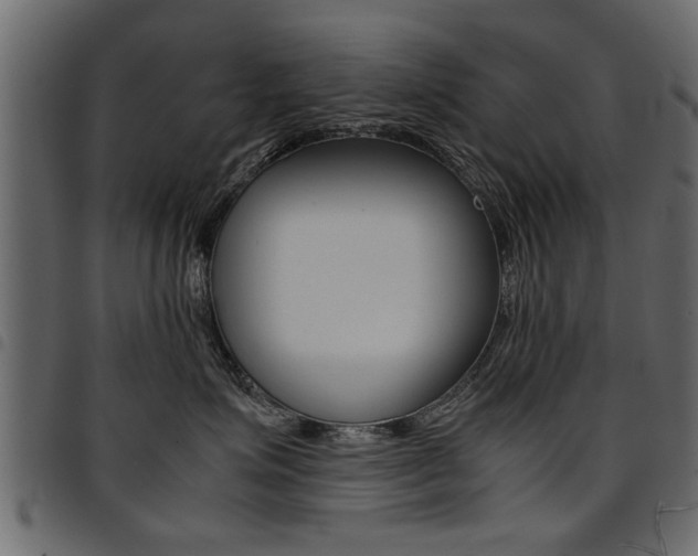 X0000094910623200711291001
