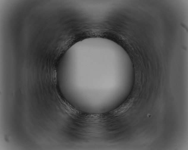 X0000094910624200711291001