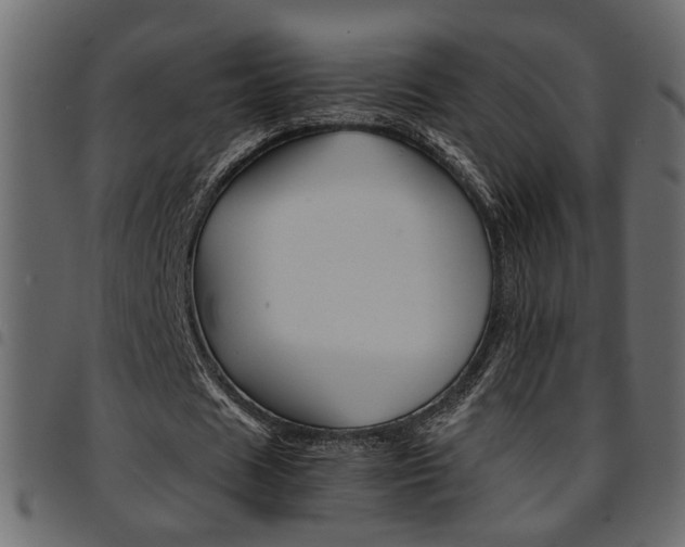 X0000094910625200711291001