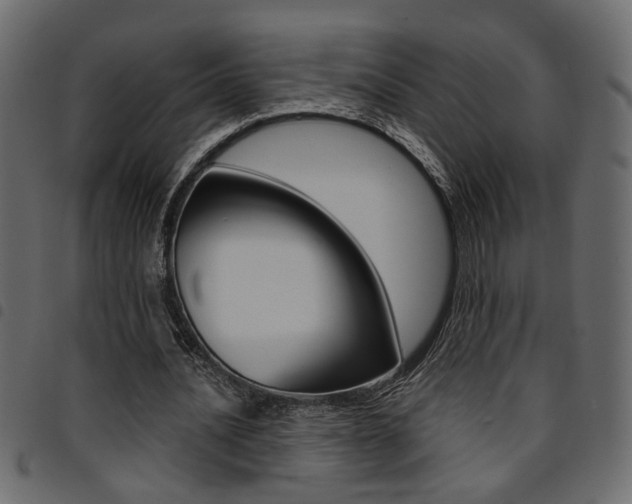 X0000094910628200711291001