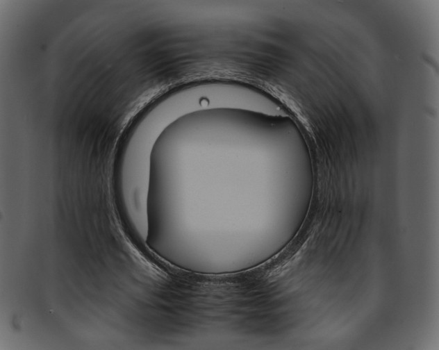 X0000094910629200711291001
