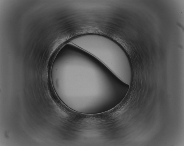 X0000094910630200711291001