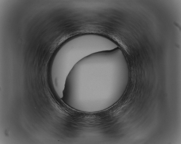 X0000094910631200711291001
