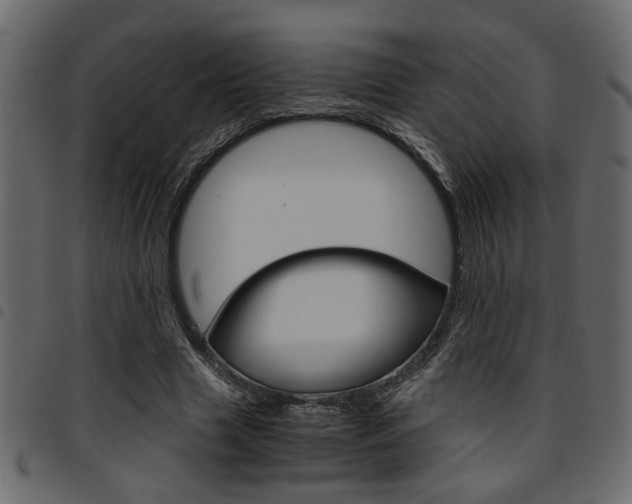 X0000094910633200711291001