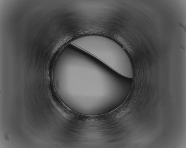X0000094910634200711291001