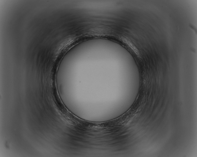 X0000094910635200711291001