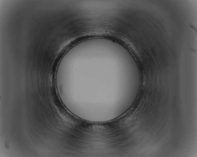 X0000094910636200711291001