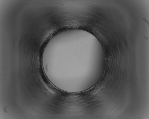 X0000094910638200711291001