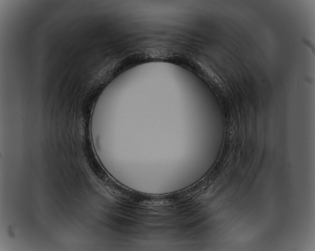 X0000094910639200711291001