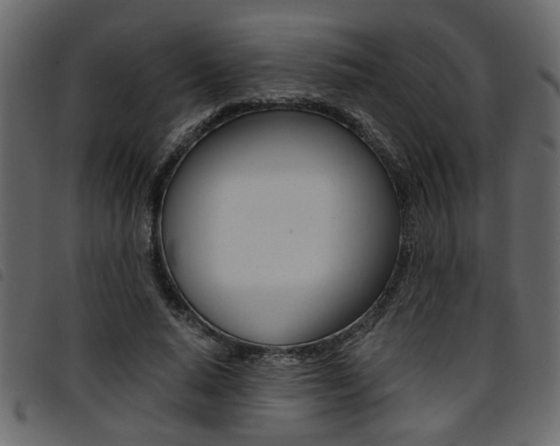 X0000094910640200711291001