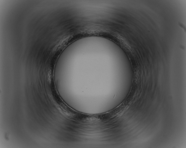 X0000094910644200711291001