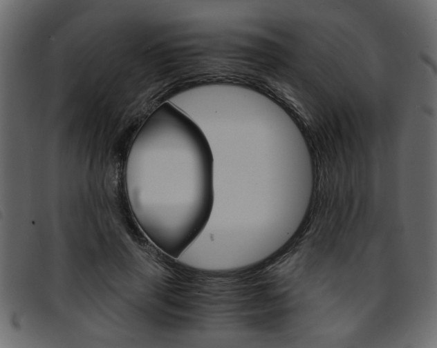 X0000094910645200711291001