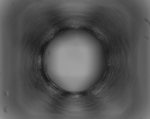 X0000094910646200711291001