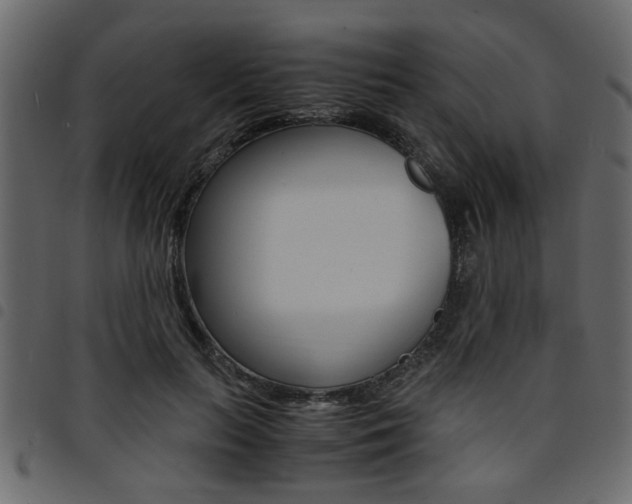 X0000094910647200711291001