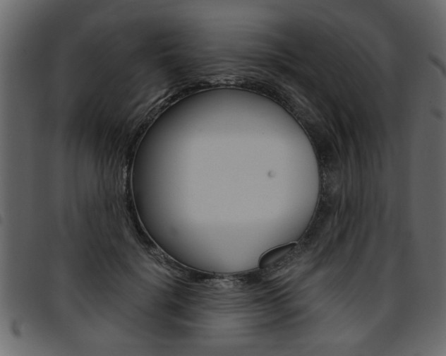 X0000094910652200711291001