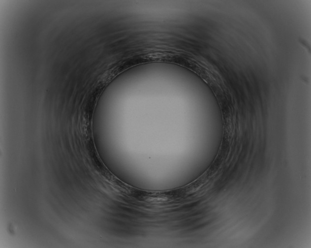 X0000094910653200711291001