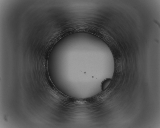 X0000094910654200711291001