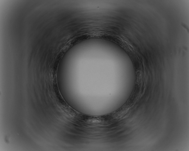 X0000094910655200711291001