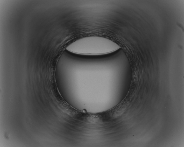 X0000094910656200711291001