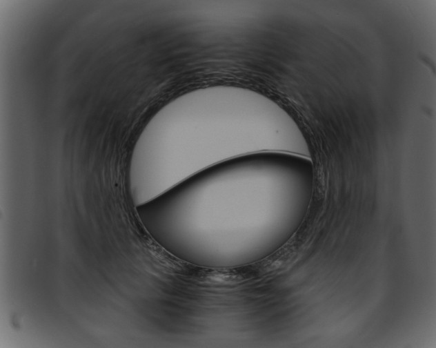 X0000094910657200711291001