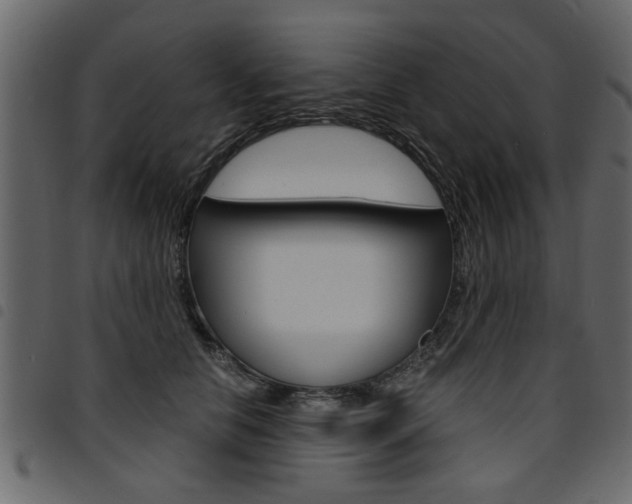 X0000094910658200711291001