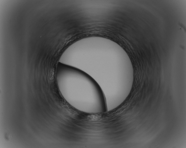 X0000094910660200711291001