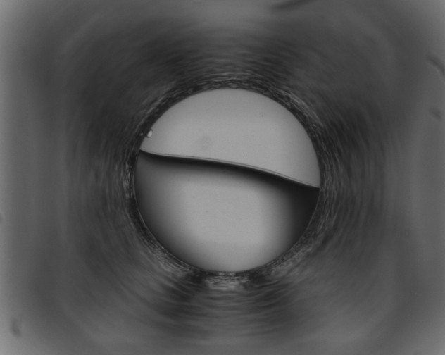 X0000094910661200711291001