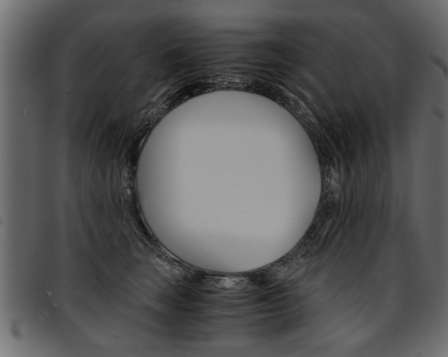 X0000094910663200711291001